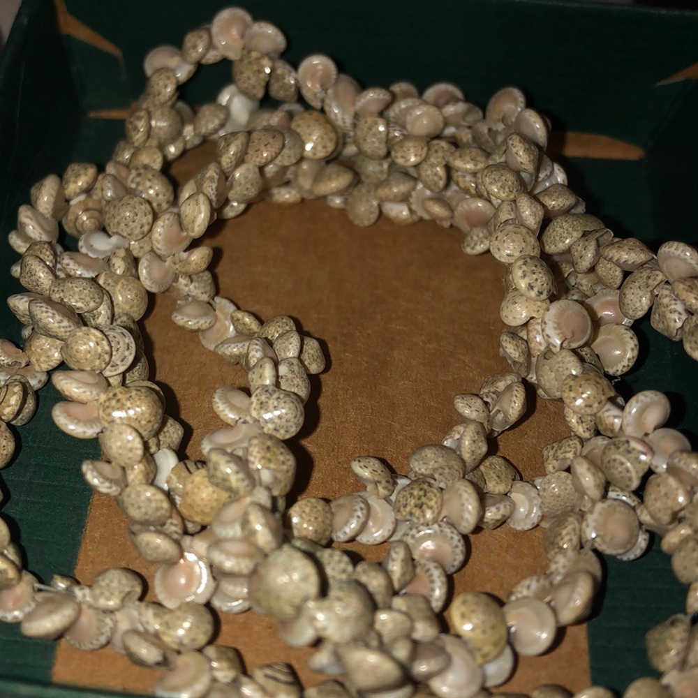 Large shell necklace